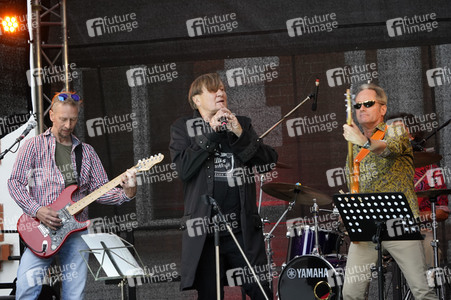 Picknickkonzert mit Ulli und die grauen Zellen in Werder