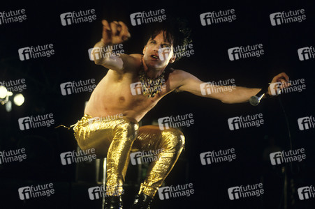 Konzert von The Cramps in London