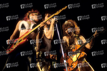 Konzert von The Cramps in London