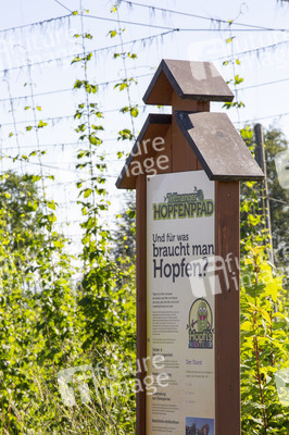 Hopfengut No20 in Tettnang