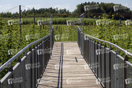 Hopfengut No20 in Tettnang