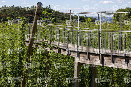 Hopfengut No20 in Tettnang