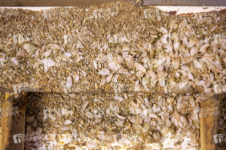 Hopfengut No20 in Tettnang