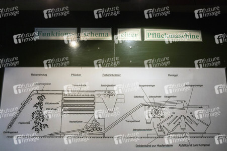 Hopfengut No20 in Tettnang