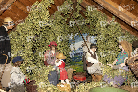 Hopfengut No20 in Tettnang