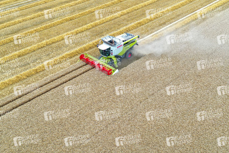 Symbolfoto Getreideernte