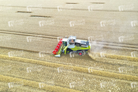 Symbolfoto Getreideernte