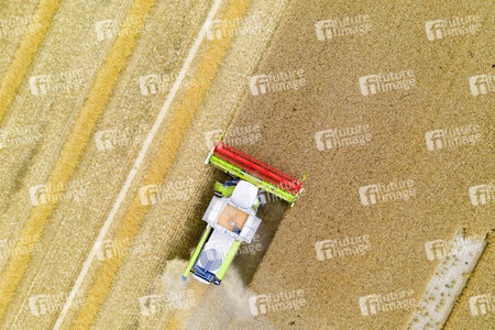 Symbolfoto Getreideernte