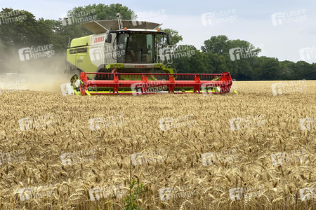 Symbolfoto Getreideernte