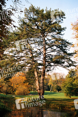 Sightseeing Versailles