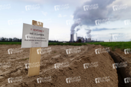 Symbolfoto Mäusegraben