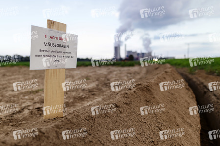 Symbolfoto Mäusegraben