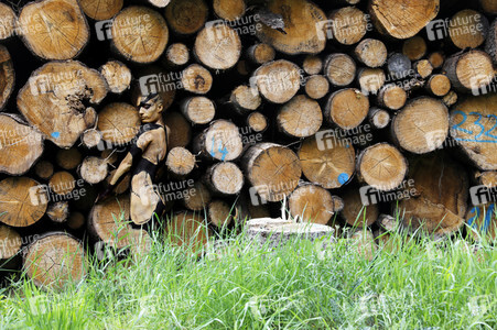 NATURE ART: Holzstapel / Wood Pile Bodypainting