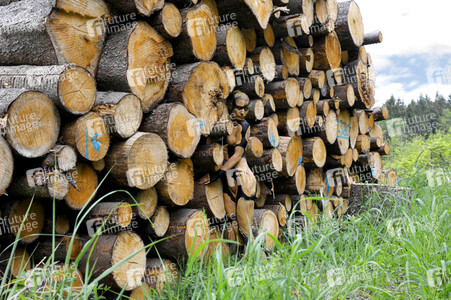 NATURE ART: Holzstapel / Wood Pile Bodypainting