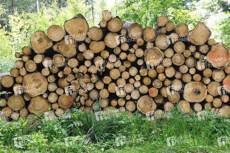 NATURE ART: Holzstapel / Wood Pile Bodypainting