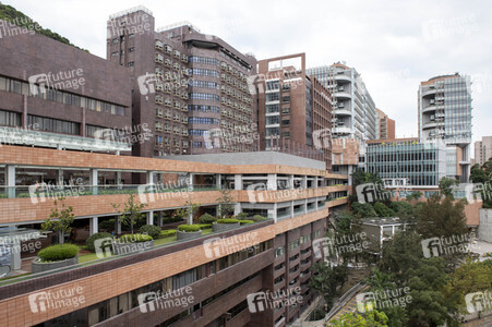 Universität Hongkong