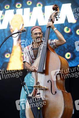 Konzert von Bukahara in Bonn