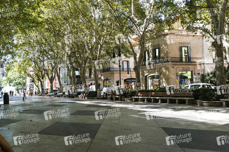 Sightseeing Mallocra