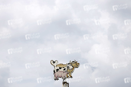 Die Firma Tönnies in Rheda-Wiedenbrück