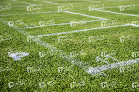 Auftritt von Martin Rütter in Erfurt