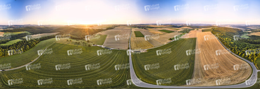 Symbolfoto Getreideernte