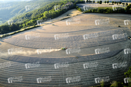 Symbolfoto Getreideernte