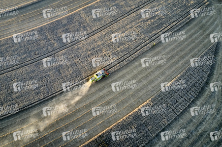 Symbolfoto Getreideernte