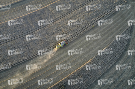 Symbolfoto Getreideernte