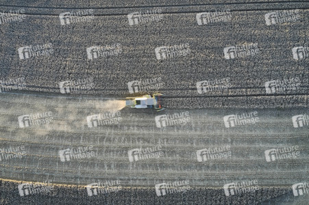 Symbolfoto Getreideernte