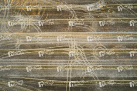 Symbolfoto Getreideernte