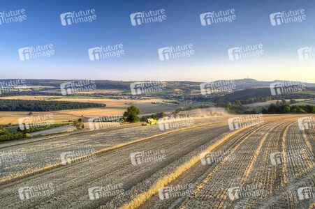 Symbolfoto Getreideernte