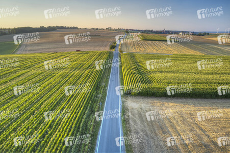 Symbolfoto Getreideernte