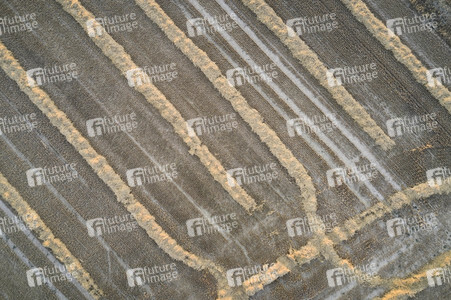 Symbolfoto Getreideernte