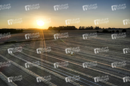 Symbolfoto Getreideernte