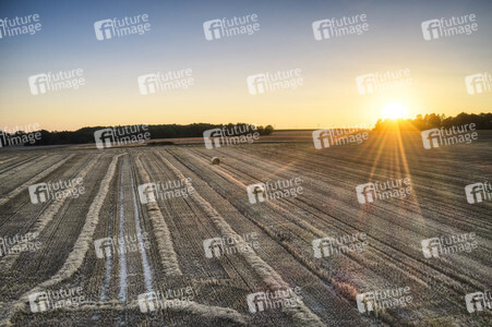 Symbolfoto Getreideernte