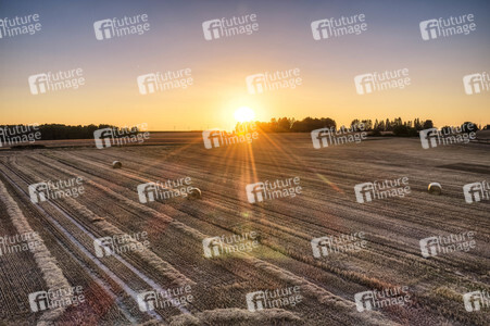 Symbolfoto Getreideernte