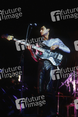 Konzert von Fashion in London