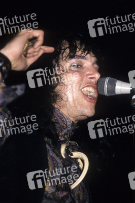 Konzert von The Fuzztones in London