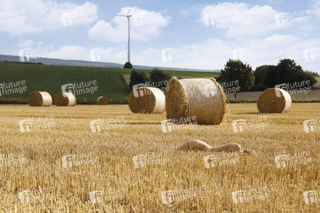 NATURE ART: Stoppelfeld / Stubble Field Bodypainting
