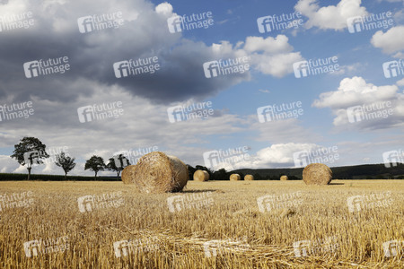 NATURE ART: Stoppelfeld / Stubble Field Bodypainting