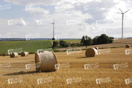 NATURE ART: Stoppelfeld / Stubble Field Bodypainting