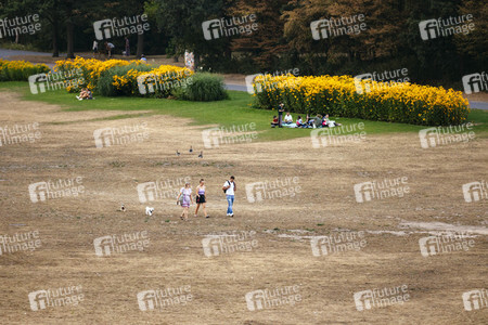 Symbolfoto Vertrocknete Parkanlagen