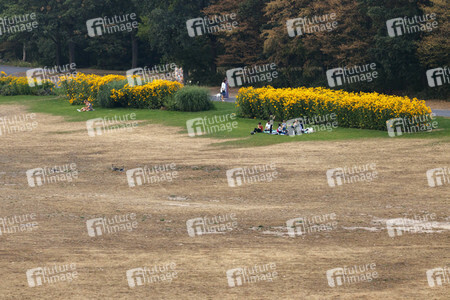 Symbolfoto Vertrocknete Parkanlagen
