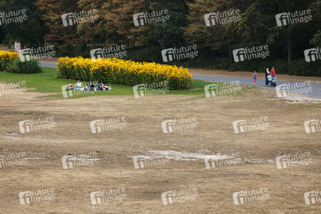 Symbolfoto Vertrocknete Parkanlagen