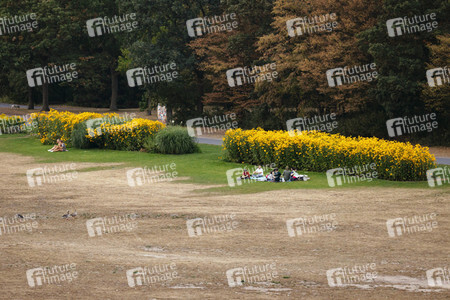 Symbolfoto Vertrocknete Parkanlagen