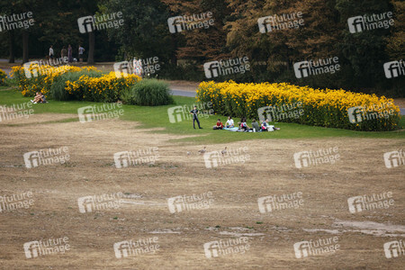 Symbolfoto Vertrocknete Parkanlagen