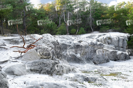 Bodypainting in Nature Kalender 2021