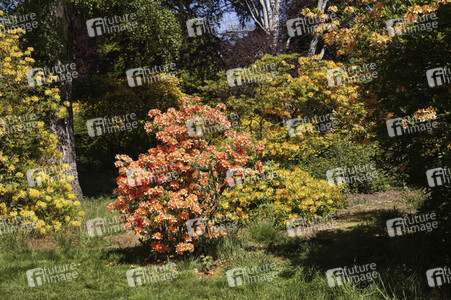 Bodypainting in Nature Kalender 2021