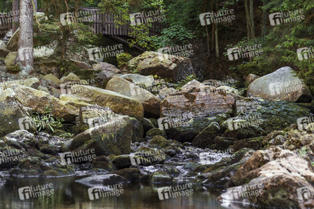 Bodypainting in Nature Kalender 2021