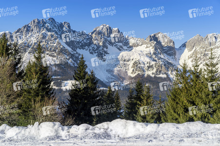 Bodypainting in Nature Kalender 2021